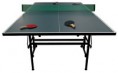 /album/ping-pong/a20050-foto2-jpg1/